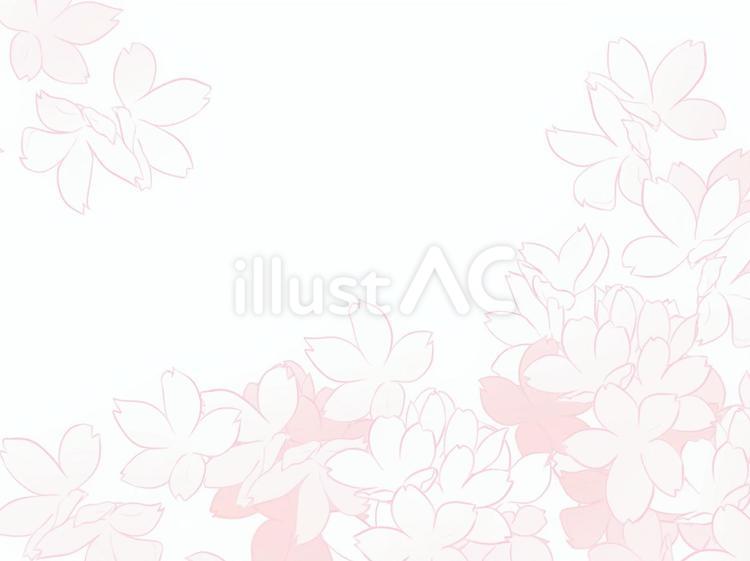 桜フレーム 桜,春,ピンクのイラスト素材