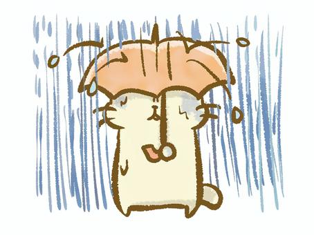 どしゃぶり 雨,夕立,土砂降り,ゲリラ豪雨,夏,スコール,台風,濡れる,傘,ねこのイラスト素材