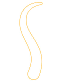 黄色いS字曲線の装飾ライン 曲線,s字,抽象,動き,流れ,線画,デザイン,背景,縦長,波のイラスト素材