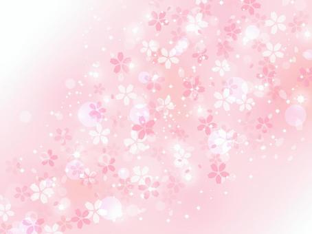 Beautiful cherry blossom background, , JPG