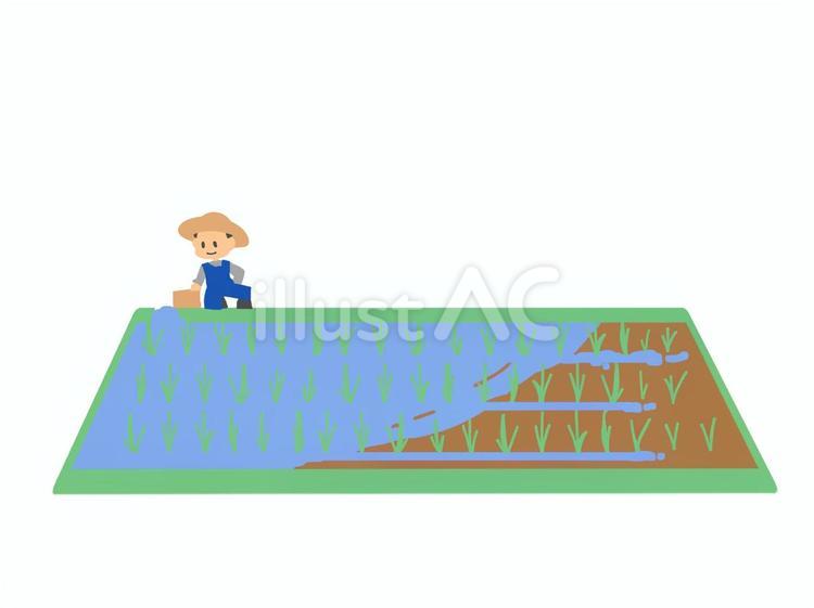 Free Vectors | A person taking water from a rice field