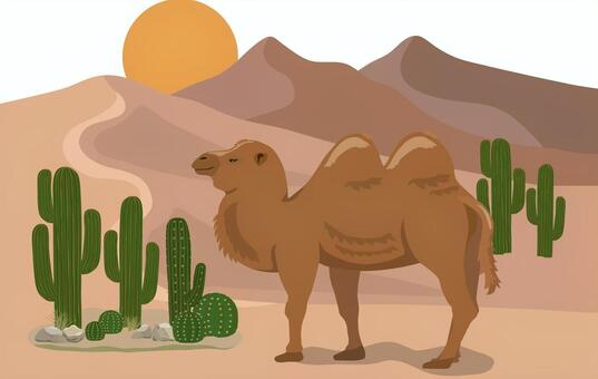 砂漠のラクダ 砂漠,荒原,ラクダ,フタコブ,キャメル,動物,哺乳類,生き物,乗る,野生のイラスト素材