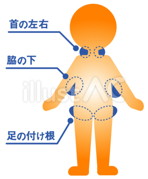 体の熱を冷やす場所 06イラスト No 無料イラストなら イラストac