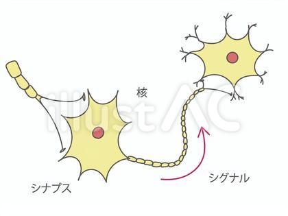 神経イラスト