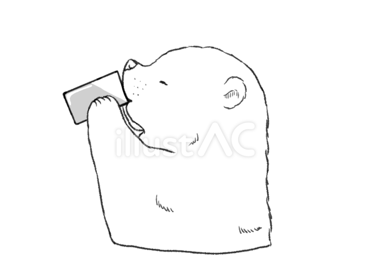 水をのむシロクマ クマ,シロクマ,動物のイラスト素材