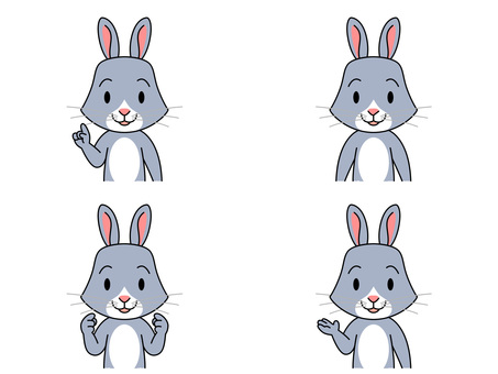 Rabbit, rabbit, herbivore, animal, JPG and PNG