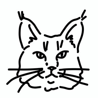 怖い顔の猫 ラガマフィン,サイベリアン,メインクーン,ノルウェージャン,長毛猫,猫,ねこ,ペット,白黒,モノクロのイラスト素材