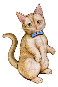 立ちあがる猫　背景なし ねこ,マンチカン,色鉛筆,素朴,手描き,優しいのイラスト素材