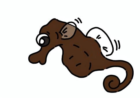 タツノオトシゴ タツノオトシゴ,お魚,海水魚,可愛い,海の生き物のイラスト素材