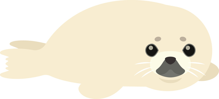 アザラシの赤ちゃん アザラシ,赤ちゃん,子供,海,海洋,海洋生物,哺乳類,動物,生き物,水族館のイラスト素材