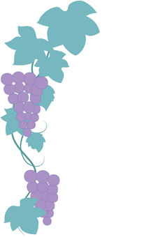 Illustration, grape, leaf, real, 