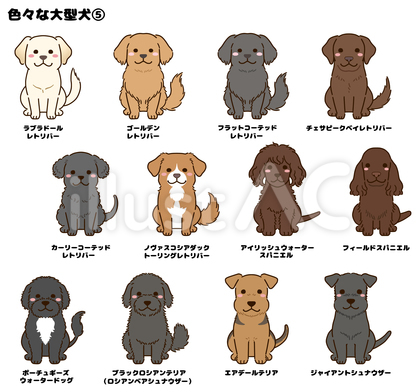 色々な大型犬⑤
