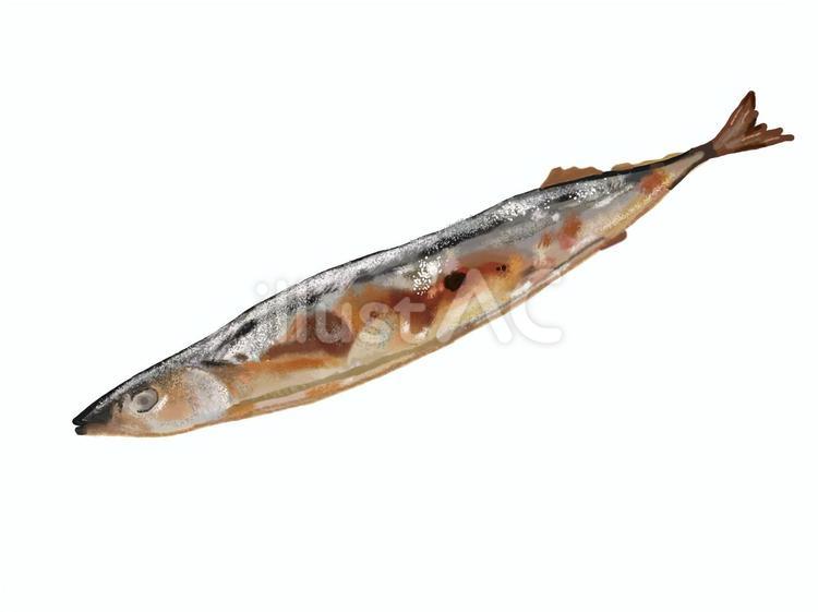 さんまの塩焼き（単品2） 秋刀魚,塩焼き,単品のイラスト素材