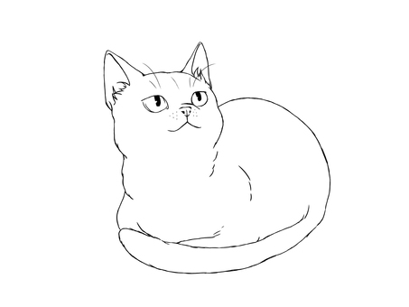 香箱座りの猫 猫,動物,香箱座り,線画,シンプル,挿絵,見上げるのイラスト素材