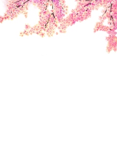 Cherry Blossoms, , JPG and PNG