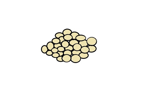 豆1 豆1 豆,大豆,節分のイラスト素材