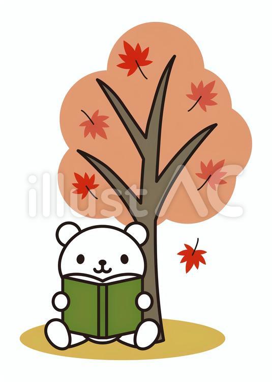 白くま　読書の秋　もみじ 読書,白くま,秋のイラスト素材