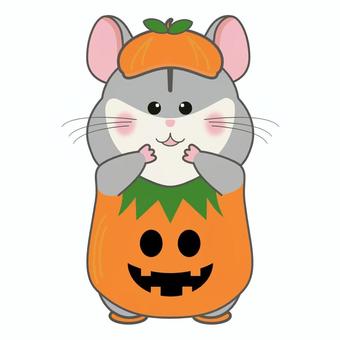 ハロウィン仮装 ハムスター かぼちゃ2 ハロウィン,カボチャ,ハムスター,仮装,コスプレ,かわいい,イラスト,挿し絵,ワンポイント,秋のイラスト素材