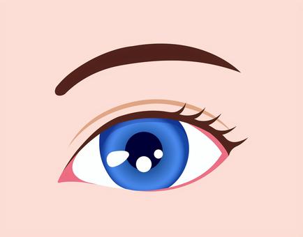 目の虹彩の色 (人種) / ブルー 目,色,瞳,人種,カラーコンタクト,白人,カラー,人物,アップ,外国人のイラスト素材