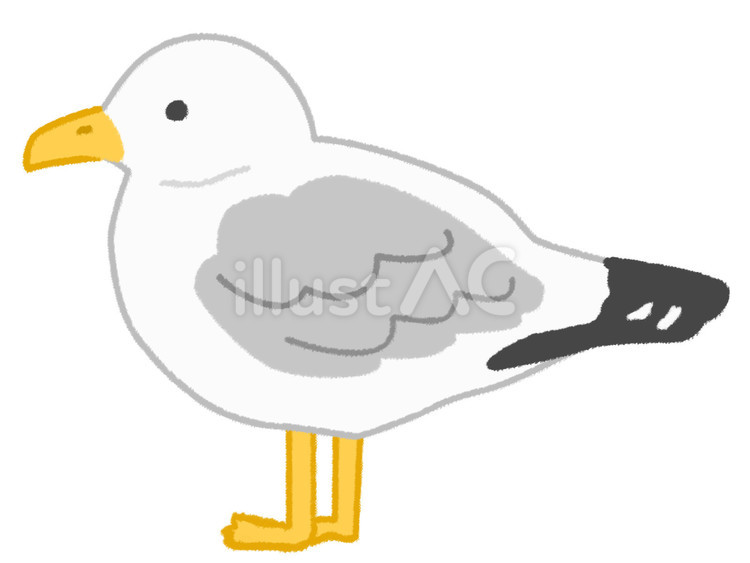 左を向いた一羽の可愛いカモメ カモメ,鳥,海鳥のイラスト素材