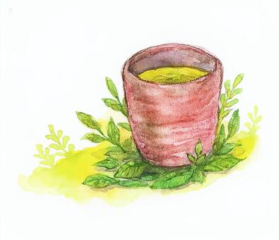 watercolor green tea, , JPG