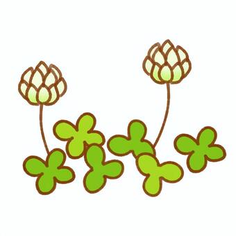 White clover and clover, , JPG and PNG