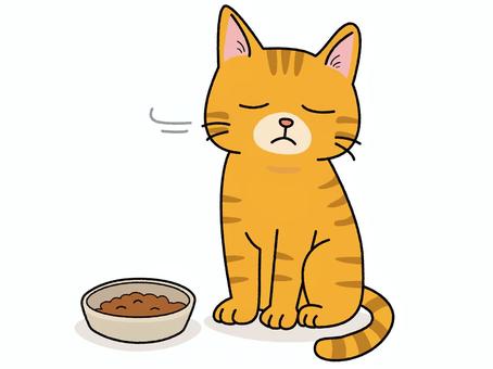 ご飯が好みじゃないので食べない猫 cat,ねこ,ネコ,猫,食事,食欲,キャットフード,生き物,ペット,エサのイラスト素材