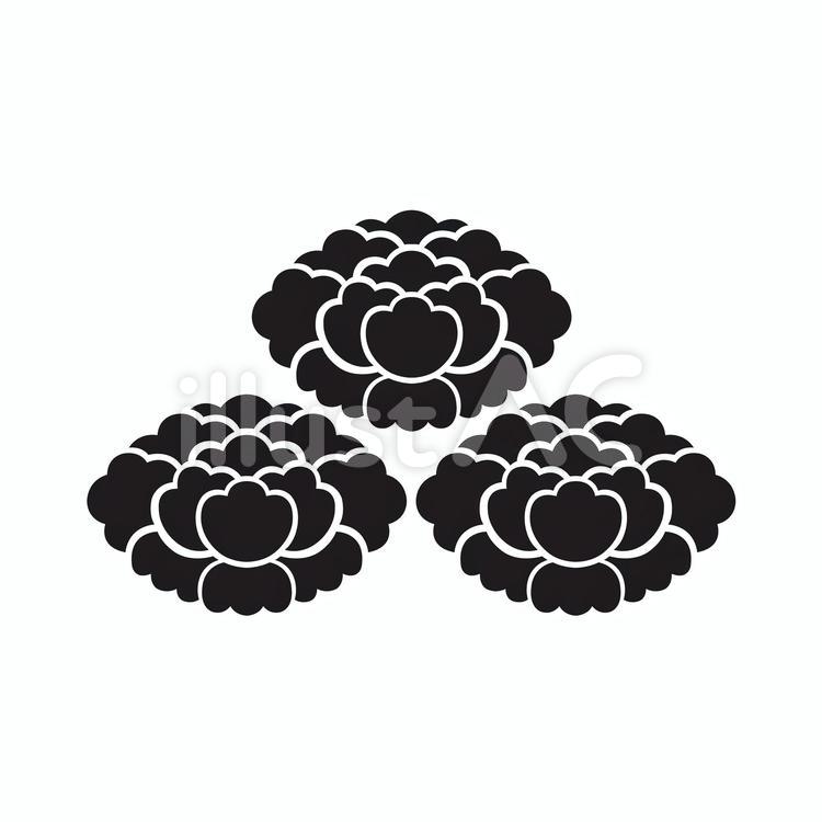 家紋　牡丹 家紋,紋,文様のイラスト素材
