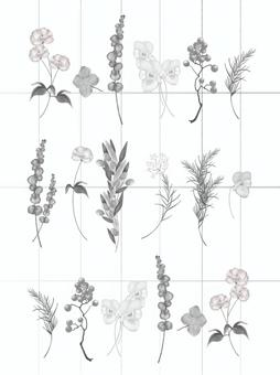 モノトーンの植物の壁紙 植物,壁紙,モノトーン,グレー,おしゃれ,ボタニカル,可愛い,シンプル,線,マスのイラスト素材