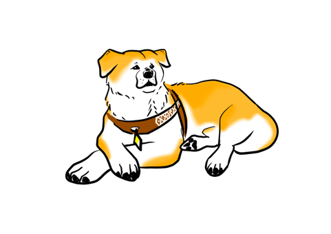 上野英三郎博士の愛犬秋田犬のハチ 秋田犬,伏せ,左向き,赤毛,可愛いのイラスト素材