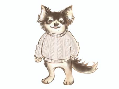 アラン模様のセーターを着たチワワ 犬,チワワ,アラン模様,セーター,ニット,手描き,カットイラスト,挿絵,動物,擬人化のイラスト素材