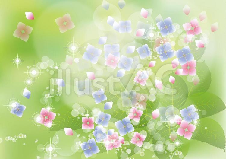 花模様紫陽花の花びら23 あじさい,手毬花,がくのイラスト素材
