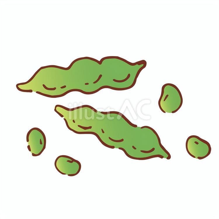 枝豆 枝豆,豆,だだちゃ豆のイラスト素材