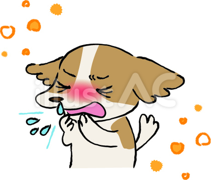 花粉症でくしゃみをする犬