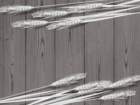 白黒の麦穂と板の背景3 mugi003 白黒の麦穂と板の背景3 mugi003 麦穂,白黒,リアル,ナチュラル,お洒落,自然,植物,大人っぽい,枠,背景のイラスト素材