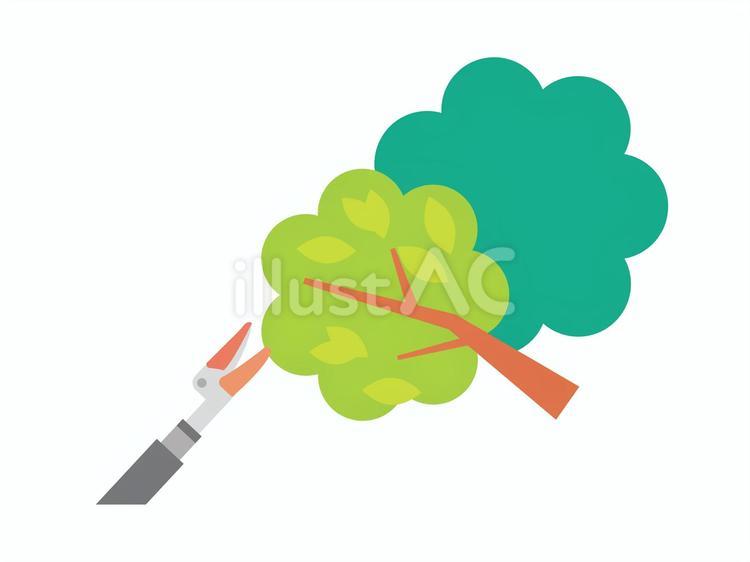 木の枝と高枝切りバサミ 高枝切りバサミ,木,枝のイラスト素材