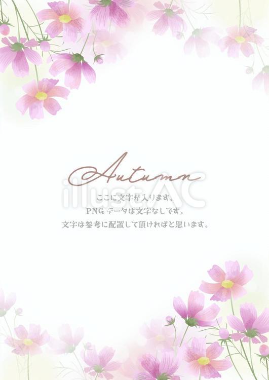 秋を告げる優しいコスモスのフレーム コスモス,秋桜,花のイラスト素材