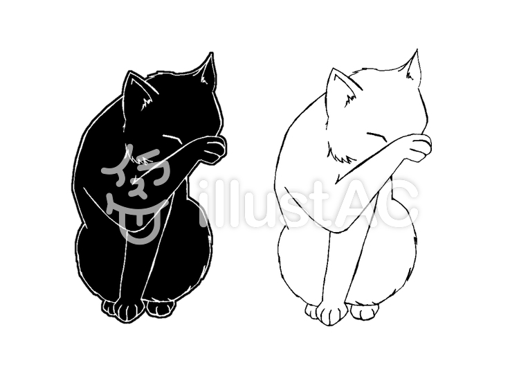 顔を洗う猫 猫,白猫,黒猫のイラスト素材