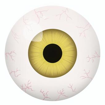 黄色い虹彩の眼球イラスト 黄色い虹彩の眼球イラスト 眼球,目玉,ハロウィン,虹彩,瞳,黄,イエロー,色,カラー,恐いのイラスト素材