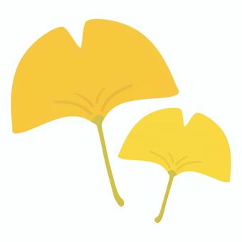 イチョウの葉1(2枚セット) イチョウ,銀杏,秋,葉,落ち葉,黄色,2枚,セット,色違い,紅葉のイラスト素材