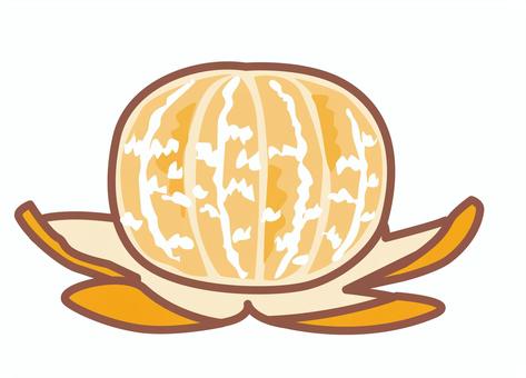 皮を剥いて開いたみかん 皮を剥いて開いたみかん みかん,皮,剥く,剥き方,果物,薄皮,アルベド,筋,白いのイラスト素材