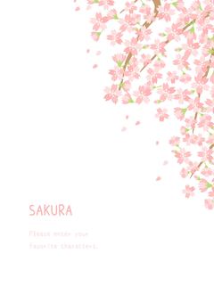 美しい桜の花の背景イラスト 桜,春,植物,背景,花,自然,ナチュラル,ほのぼの,ほんわか,かわいいのイラスト素材