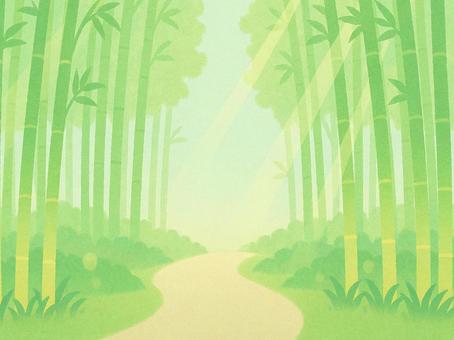 Bamboo forest and sunlight filtering through the trees, JPG, PNG and AI Bamboo forest and sunlight filtering through the trees, bambu ormanı, bambu, bambu yabu, JPG, PNG and AI