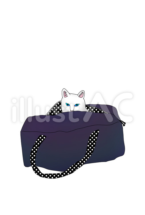 袋猫 猫,白猫,白のイラスト素材