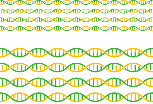 遺伝子n ゲノム,遺伝子,dna,染色体,二重螺旋,生物学,塩基配列,バイオ,科学,医学のイラスト素材