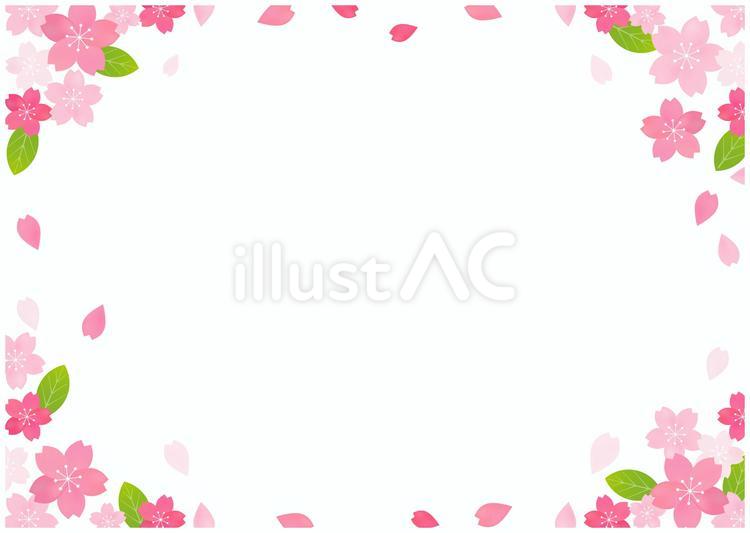 桜の花がうつくしいおしゃれな春背景素材1 桜,春,卒業式のイラスト素材
