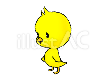 ヒヨコちゃん