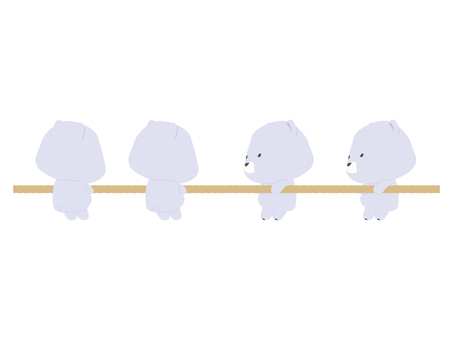 綱引きをするしろくま 綱引き,クマ,シロクマ,動物,かわいい,運動会のイラスト素材