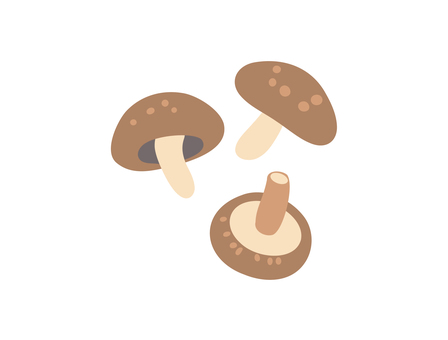 しいたけ しいたけ しいたけ,きのこ,食べ物,菌類,農作物,食用のイラスト素材