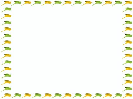 Illustration, ginkgo, fallen leaves, gymnosperms, 